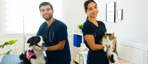 Tourism Listing Partner VETS Brisbane